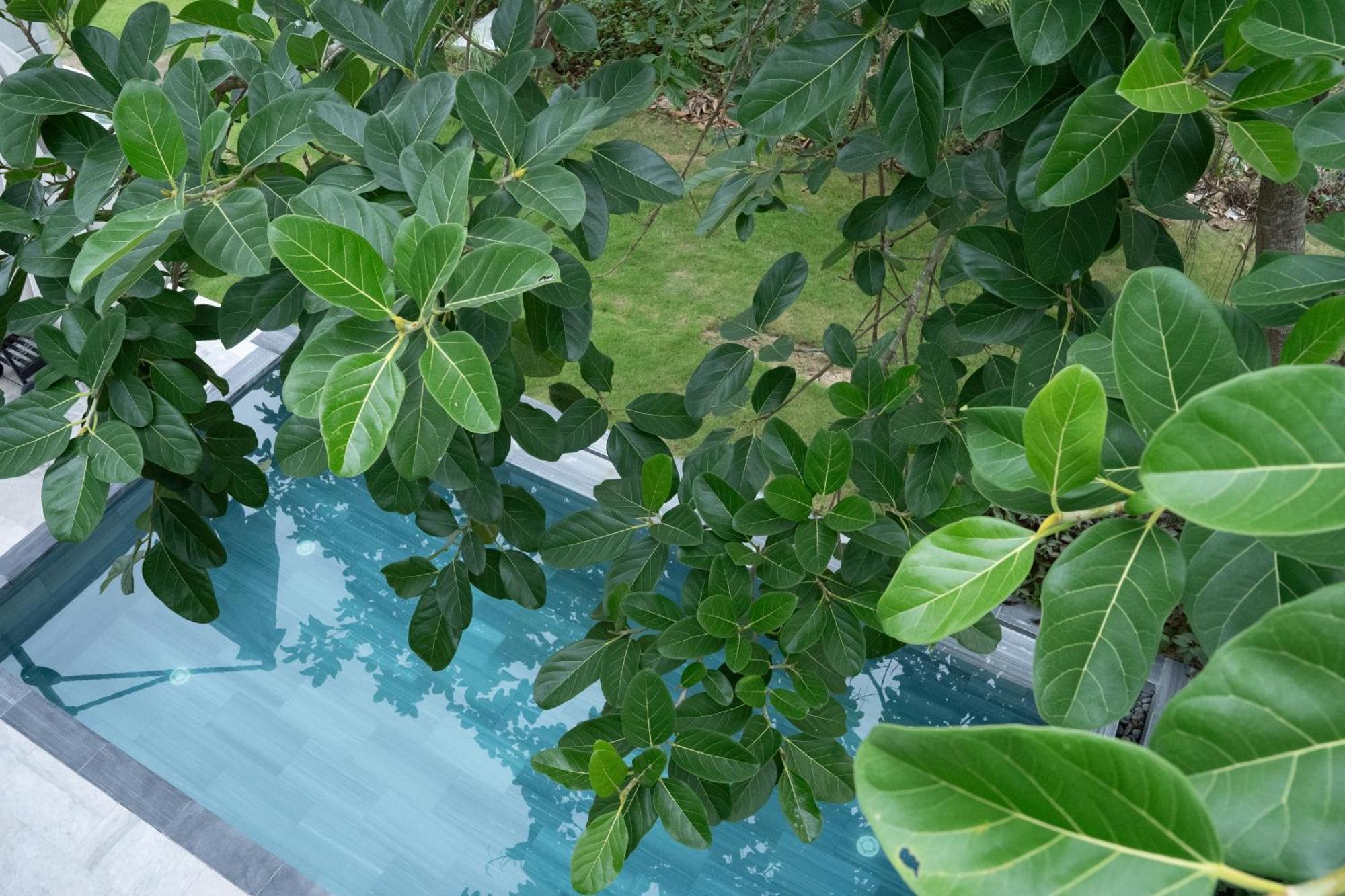 "Brg Golf Club" - Danang Private Pool Villa 3 Bedrooms #1 Exterior foto